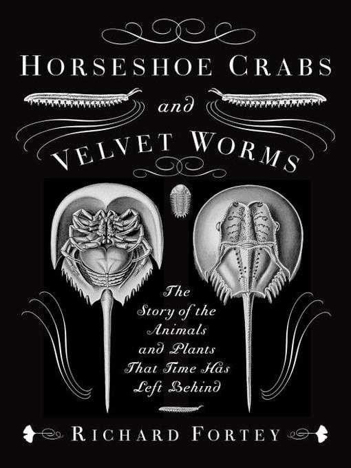 Horseshoe Crabs and Velvet Worms