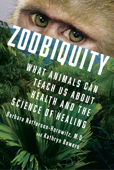 Zoobiquity