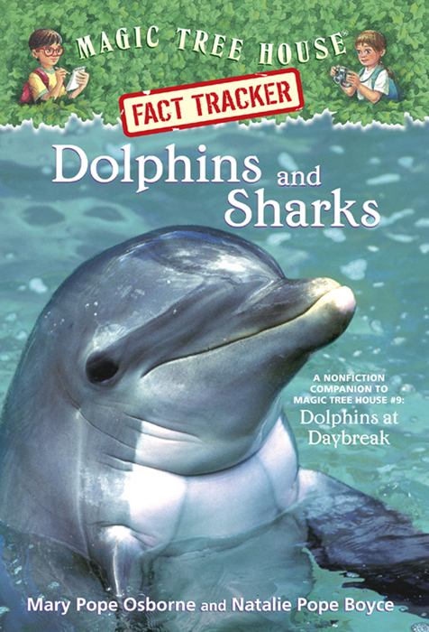 Dolphins and Sharks