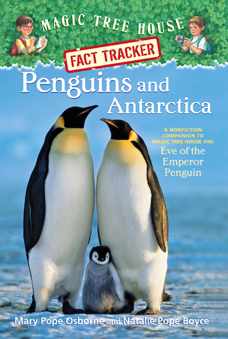 Penguins and Antarctica