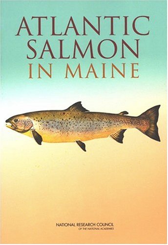 Atlantic Salmon in Maine