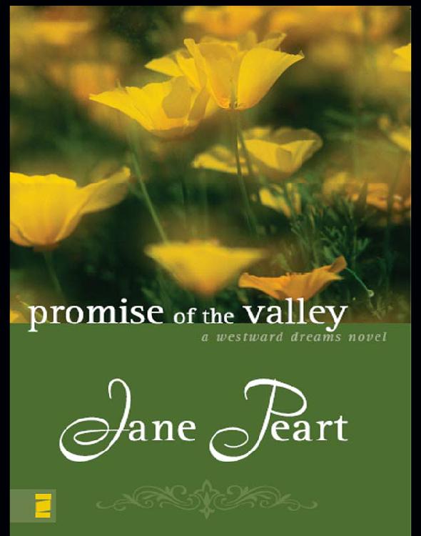 Promise of the Valley