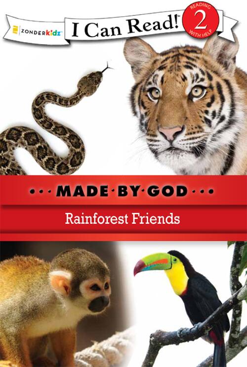 Rainforest Friends