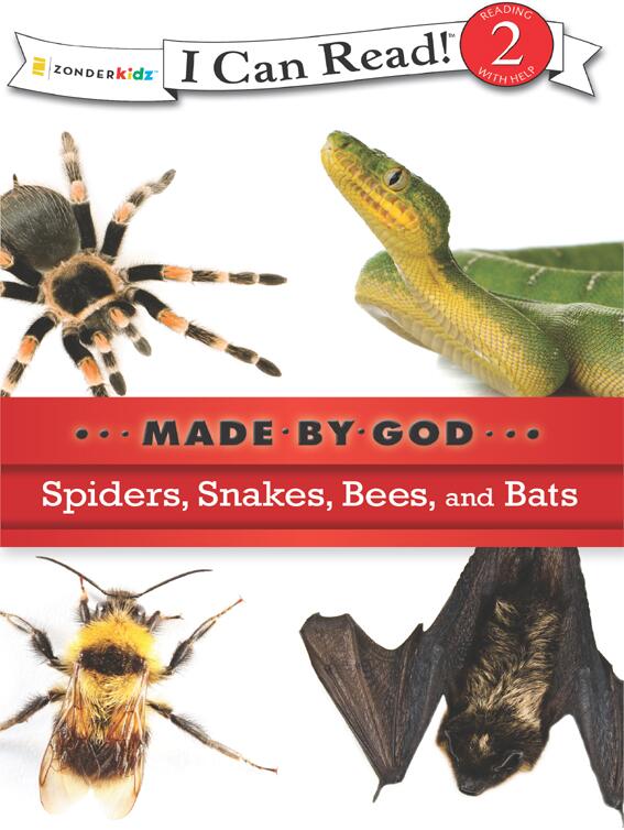 Spiders, Snakes, Bees, and Bats