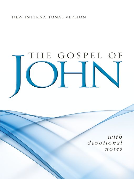 The NIV Gospel of John