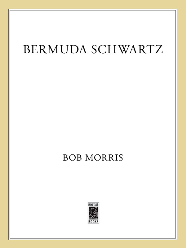 Bermuda Schwartz (Zack Chasteen Series)