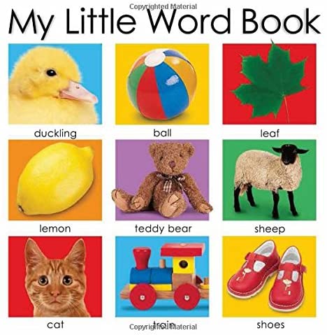 My Little Word Book (My Little Books)