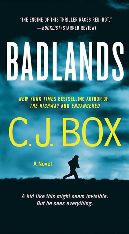Badlands: A Novel (Cody Hoyt / Cassie Dewell Novels, 3)