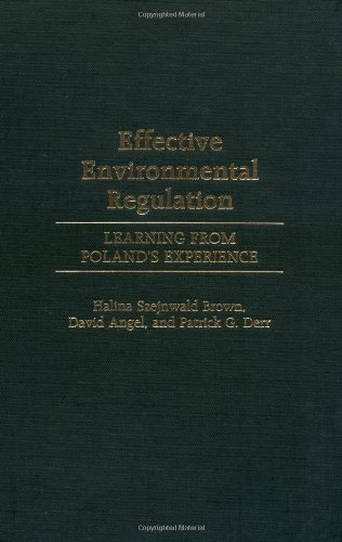 Effective Environmental Regulation