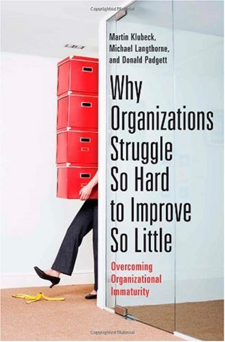 Why Organizations Struggle So Hard to Improve So Little