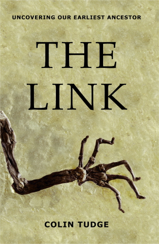 The Link