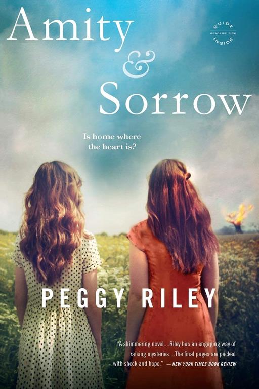 Amity &amp; Sorrow: A Novel