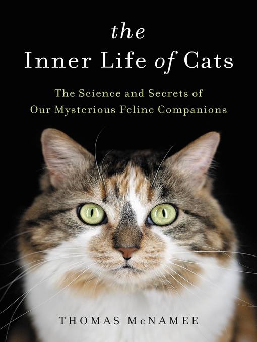 The Inner Life of Cats