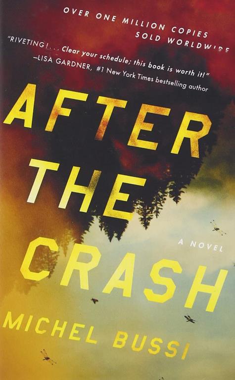 After the Crash: A Novel