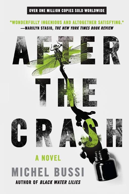 After the Crash: A Novel