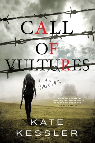 Call of Vultures (A Killian Delaney Novel)