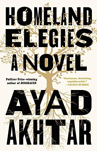 Homeland Elegies: A Novel