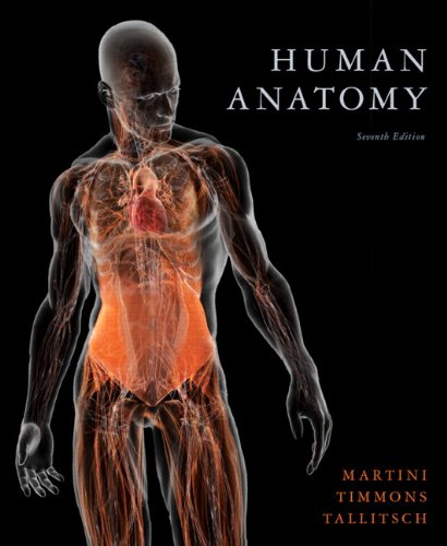 Human Anatomy