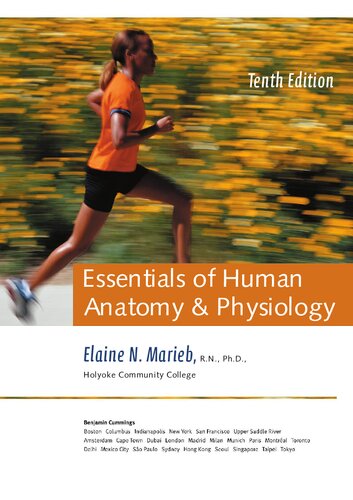 Essentials of Human Anatomy and Physiology