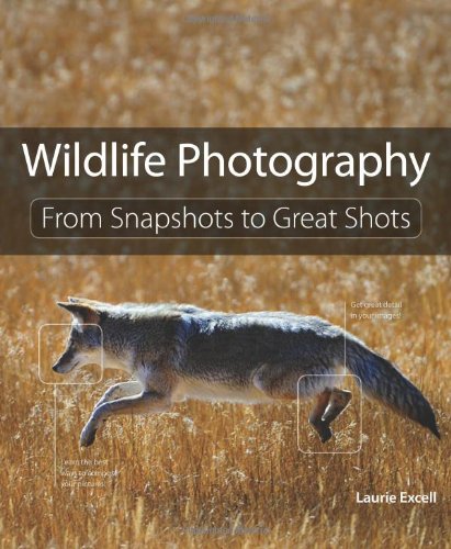 Wildlife Photography