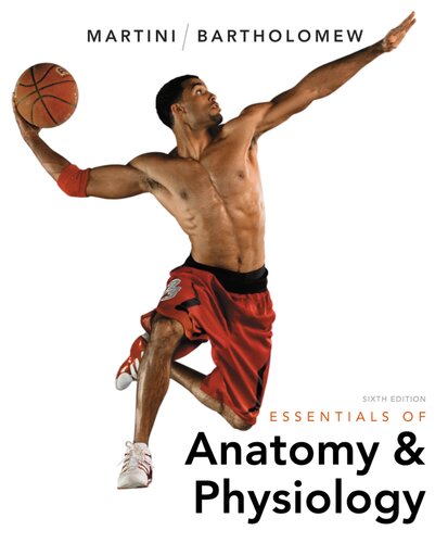 Essentials of Anatomy &amp; Physiology