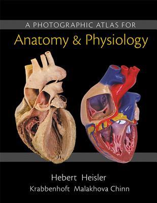 A Photographic Atlas for Anatomy &amp; Physiology