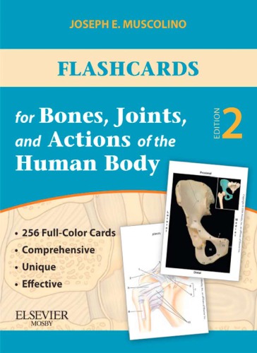 Flashcards for Bones, Joints, and Actions of the Human Body