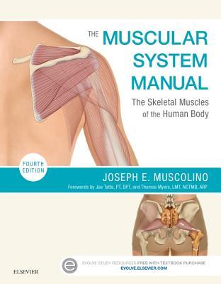 The Muscular System Manual