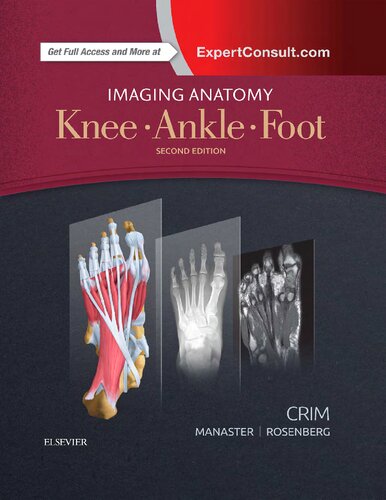 Imaging Anatomy