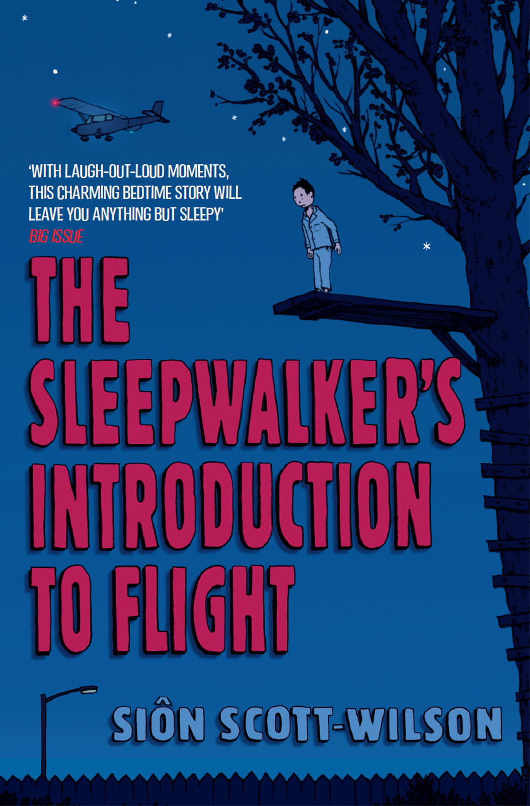 The Sleepwalker's Introduction to Flight