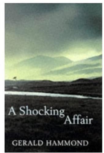 A Shocking Affair (Macmillan Crime)