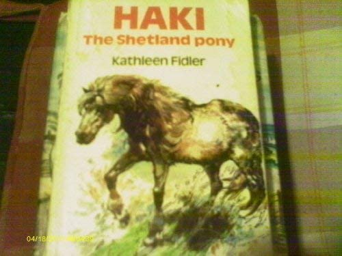 Haki the Shetland Pony