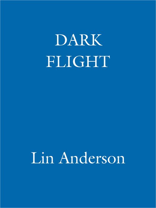 Dark Flight