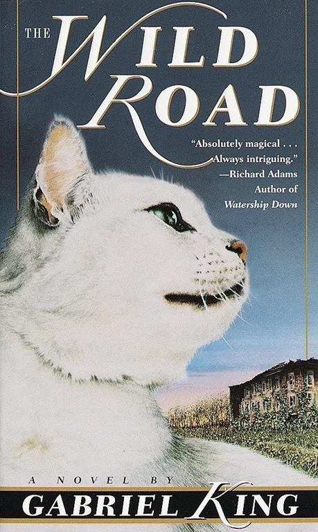 The Wild Road: A Novel