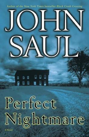 Perfect nightmare : a novel