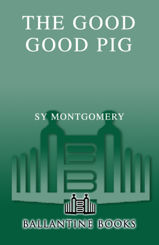 The Good Good Pig