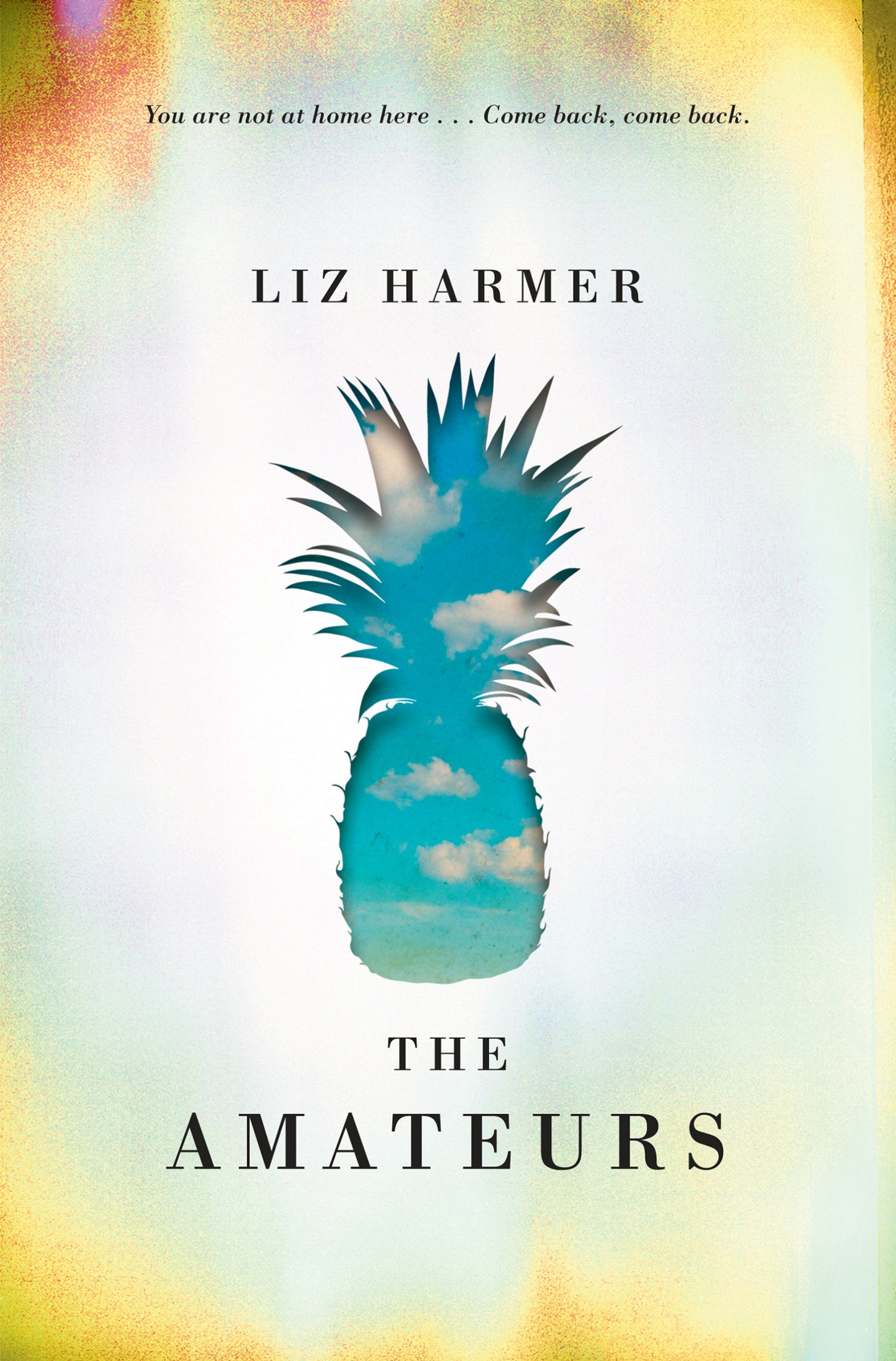 The Amateurs