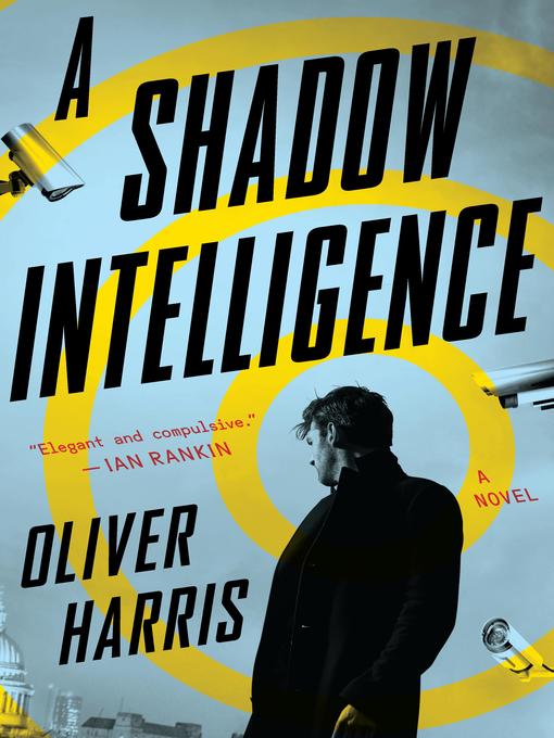 A Shadow Intelligence