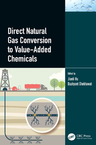 Direct Natural Gas Conversion to Value-Added Chemicals