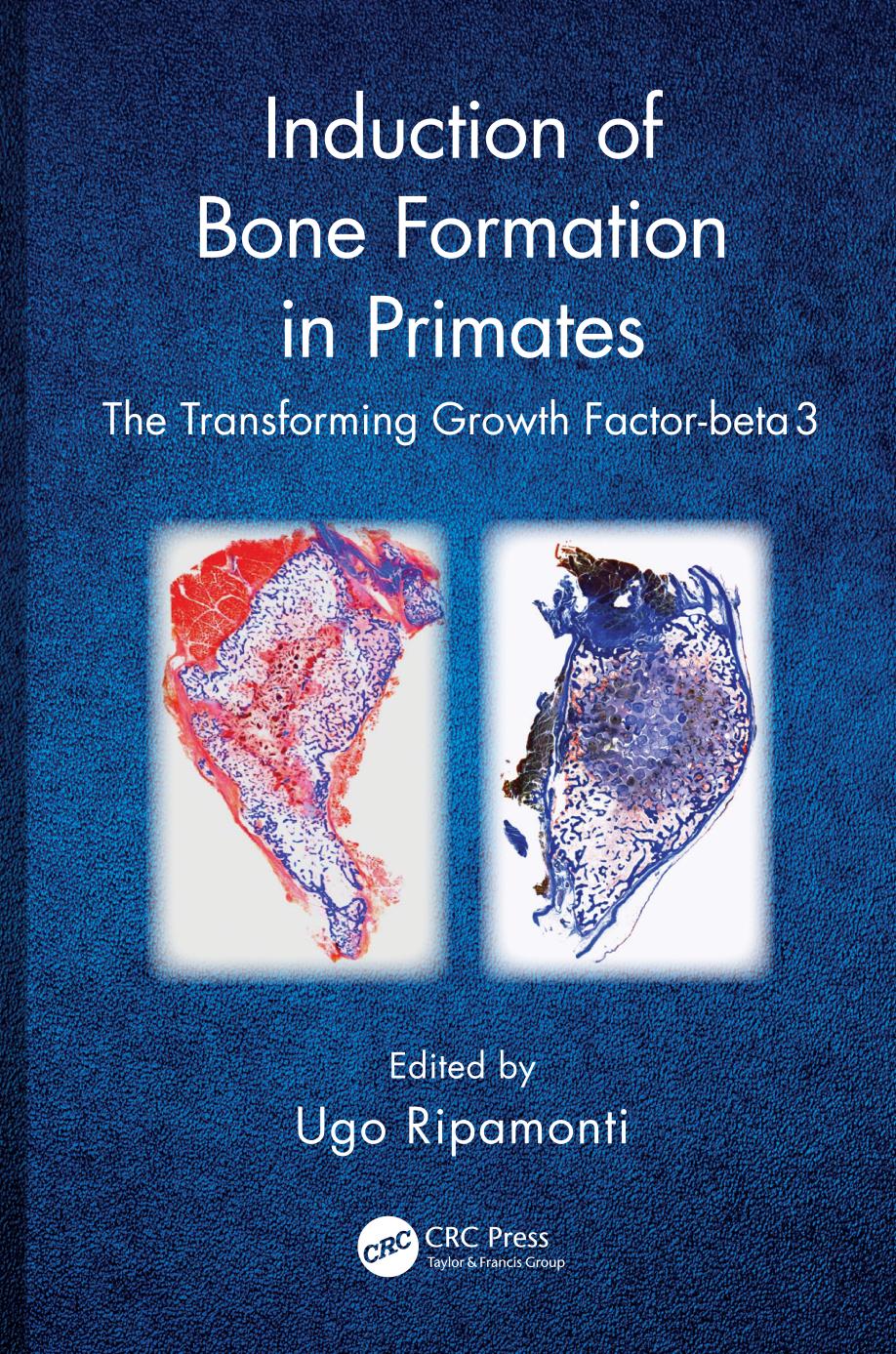 Induction of Bone Formation in Primates