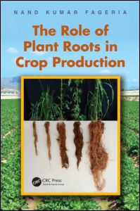 The Role of Plant Roots in Crop Production