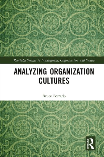 Analyzing organization cultures