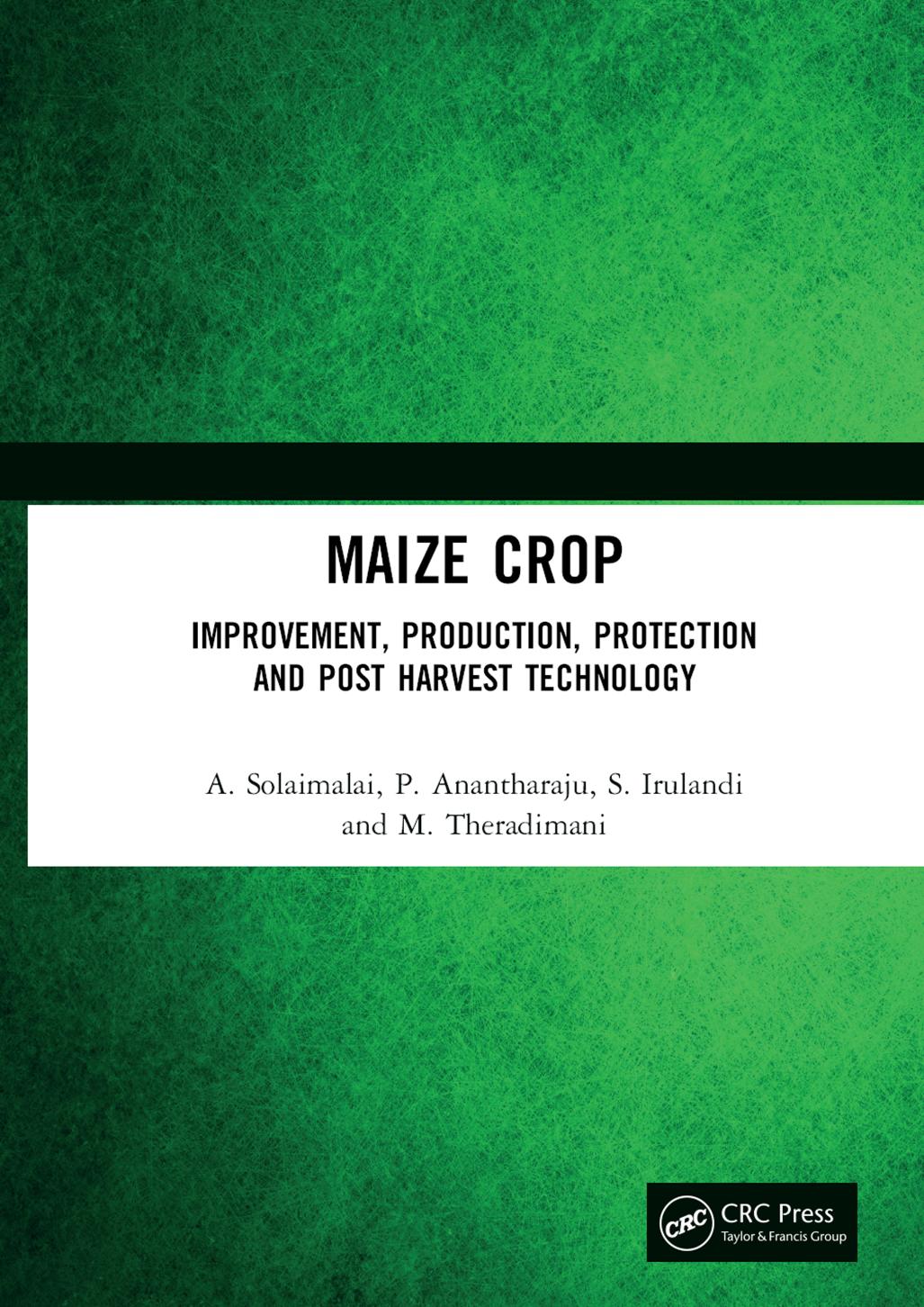 Maize Crop