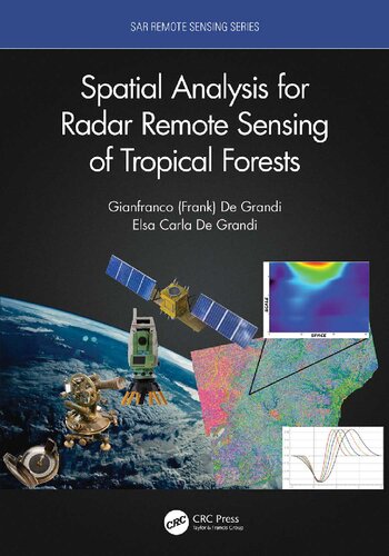 Spatial Analysis for Radar Remote Sensing of Tropical Forests.