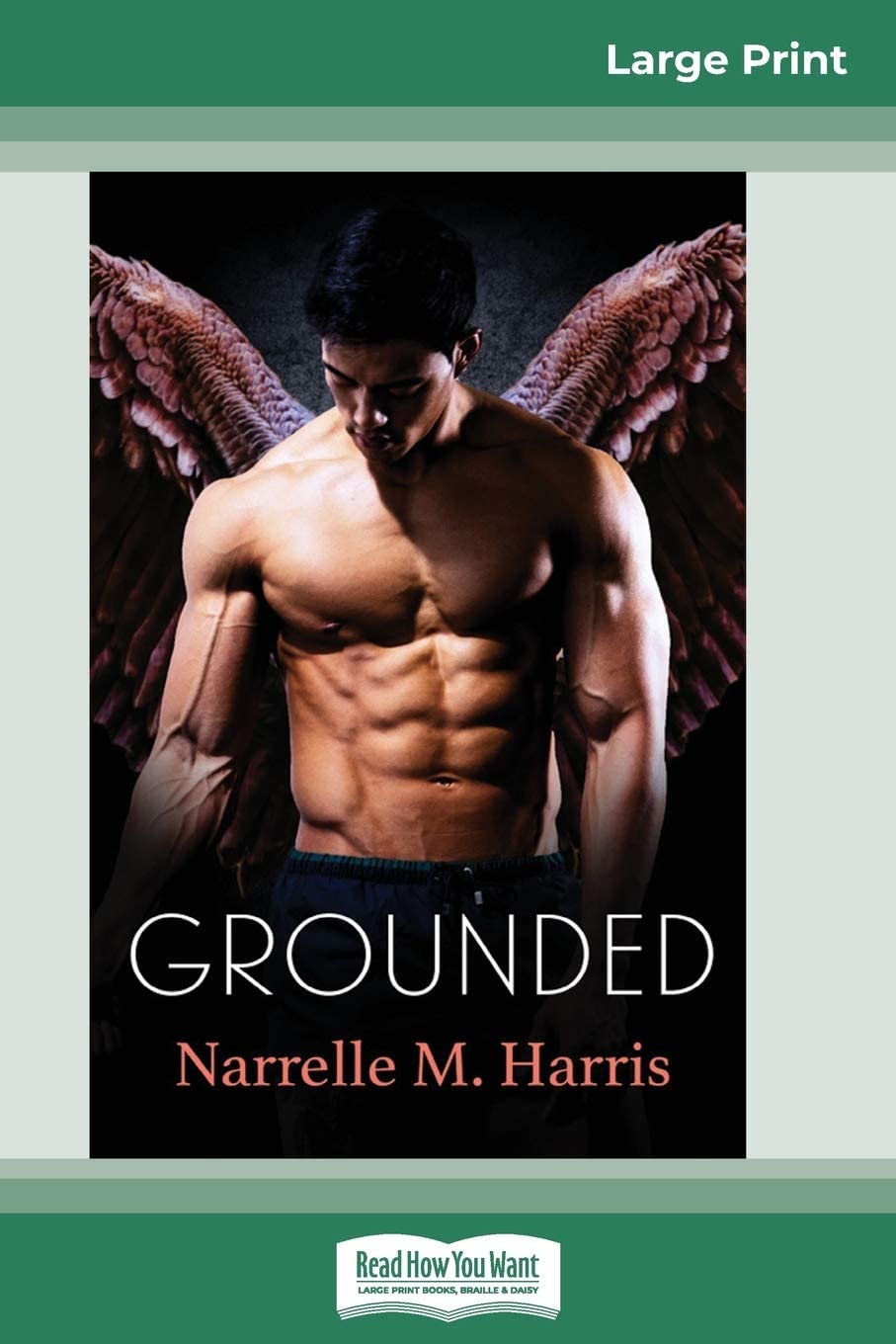 Grounded (16pt Large Print Edition)