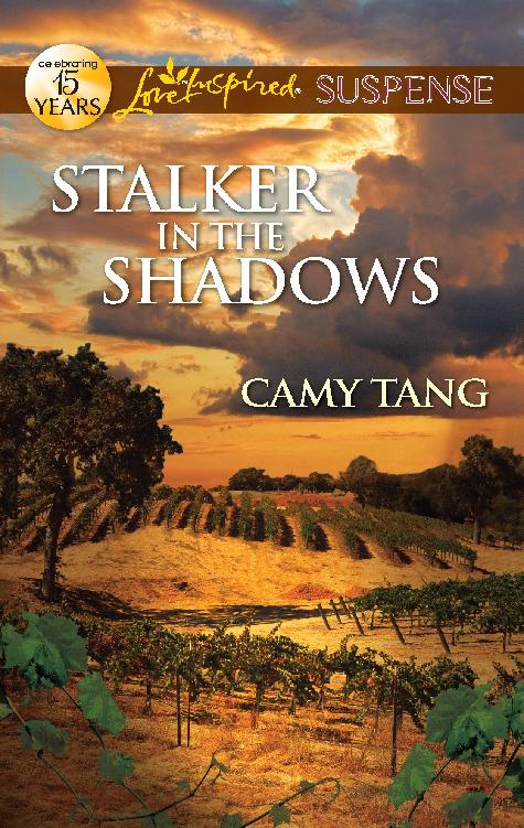 Stalker in the shadows
