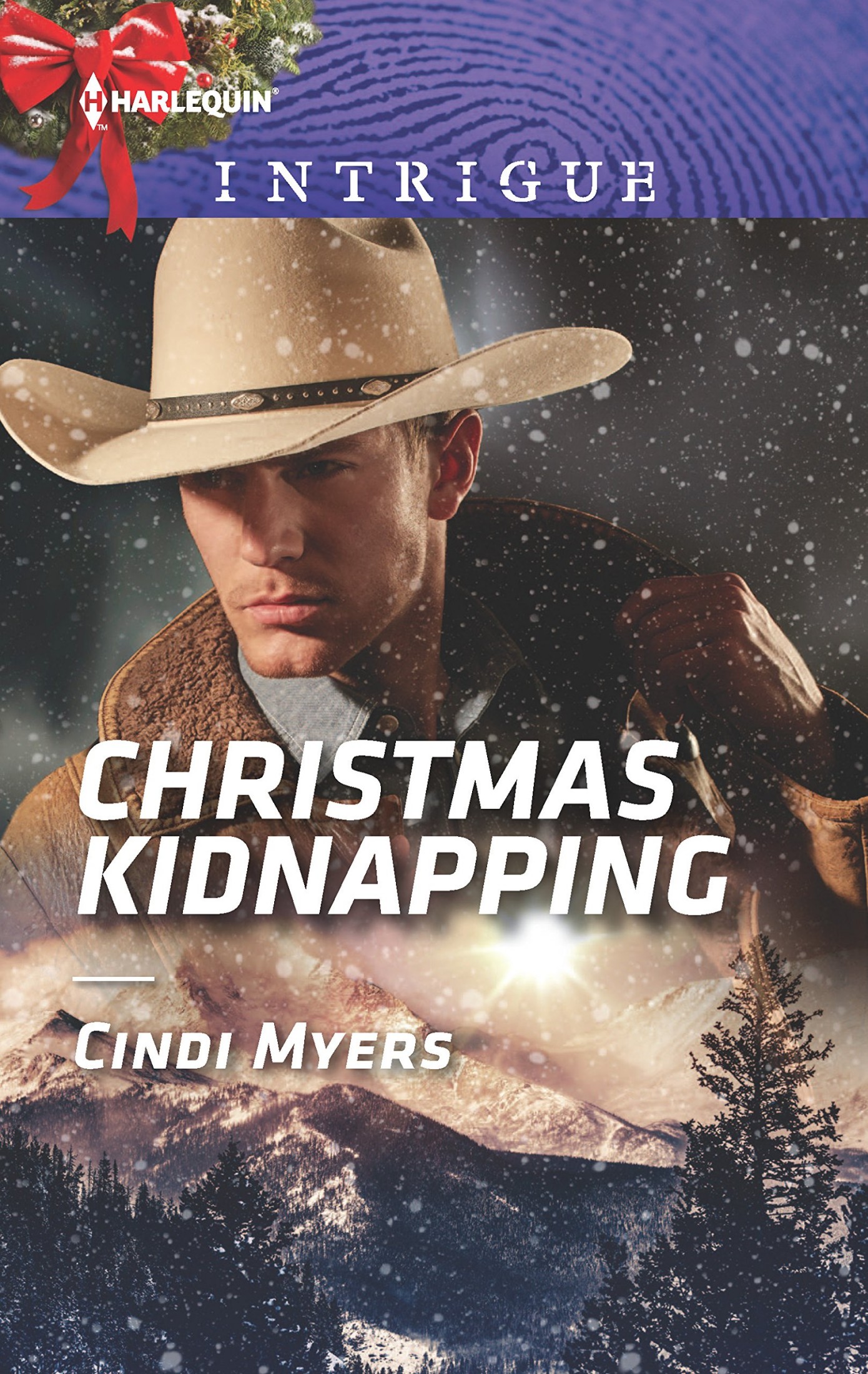 Christmas Kidnapping (The Men of Search Team Seven, 3)