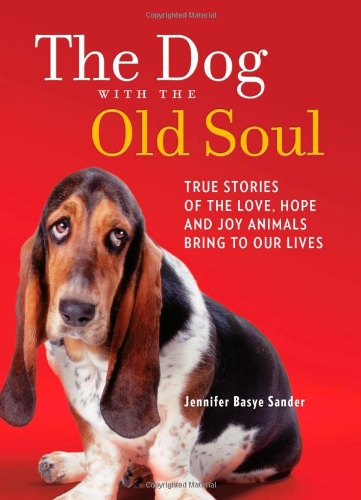 The Dog with the Old Soul