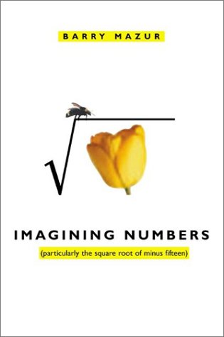 Imagining Numbers