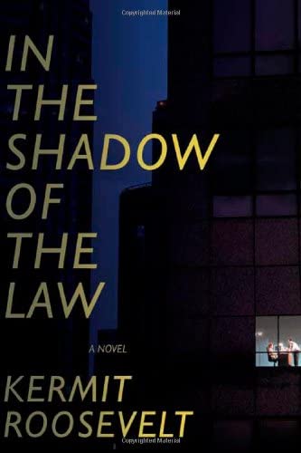 In the Shadow of the Law: A Novel